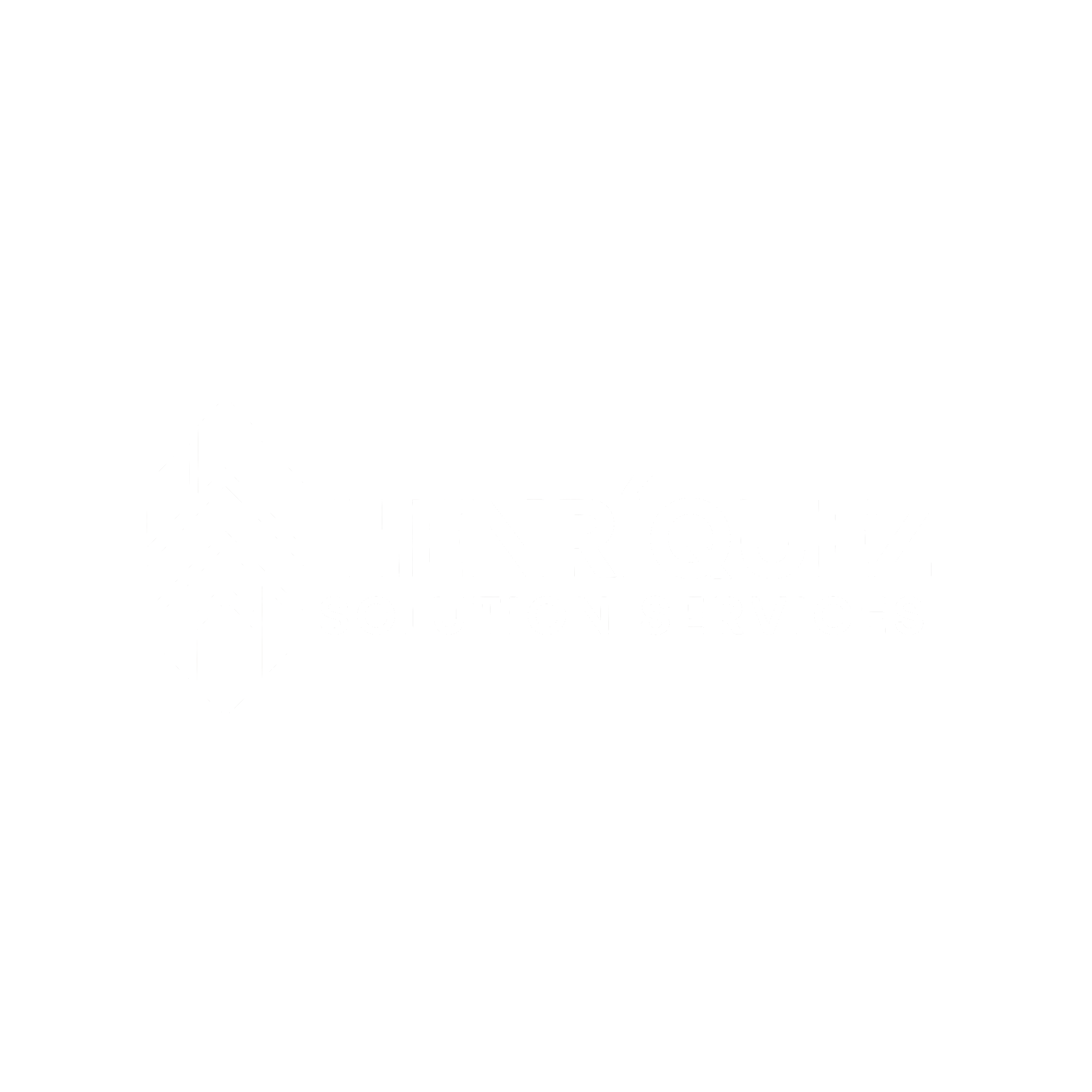 Henríquez Solution Services